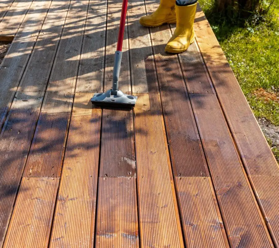 Deck & Fence Cleaning