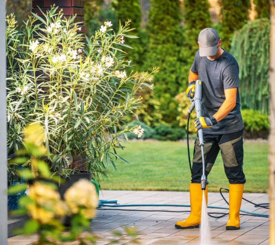 House Washing & Siding Cleaning