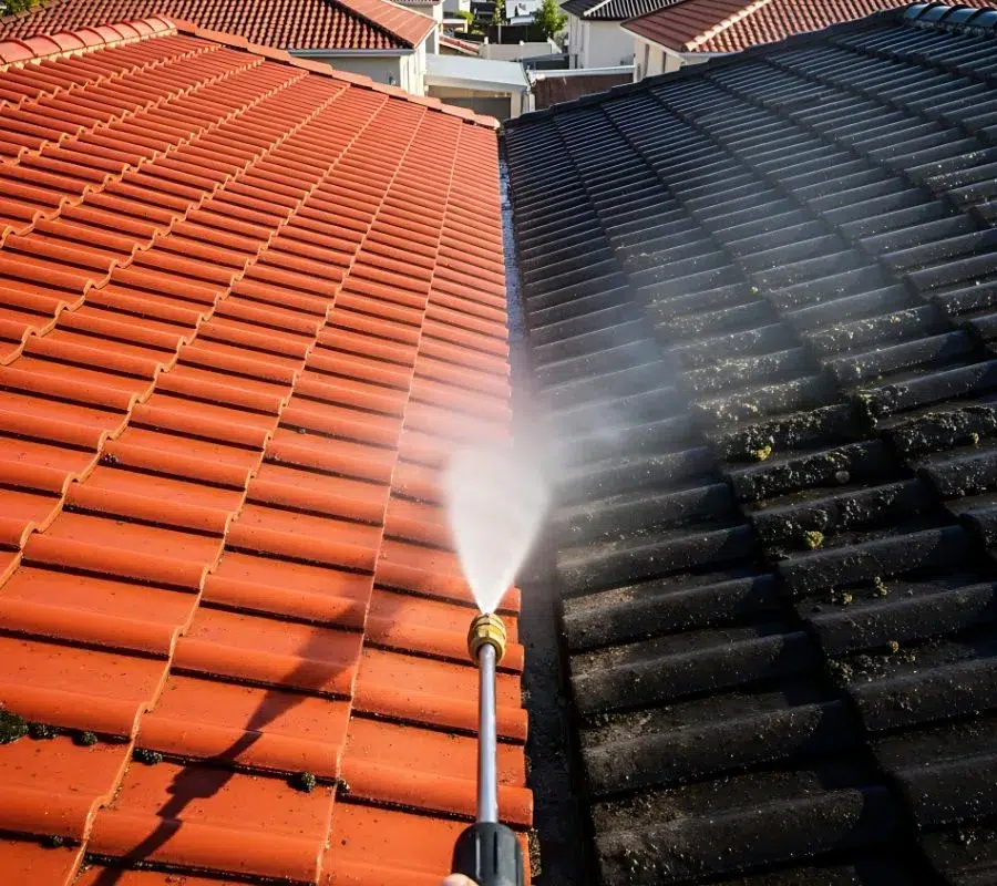 Roof Soft Washing